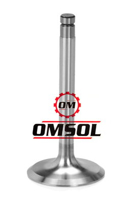 Automotive Engine Valve Manufacturers - Omsol Brand